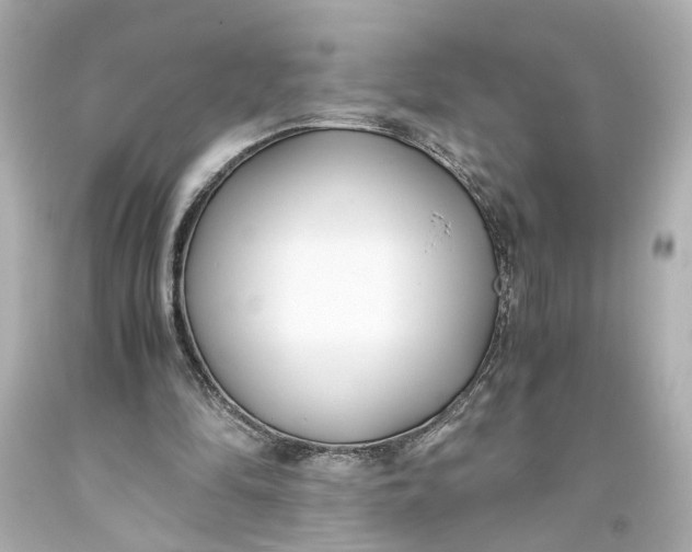 X0000093570294200711051103