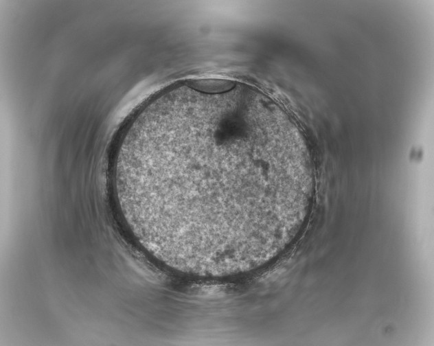 X0000093570295200711051103