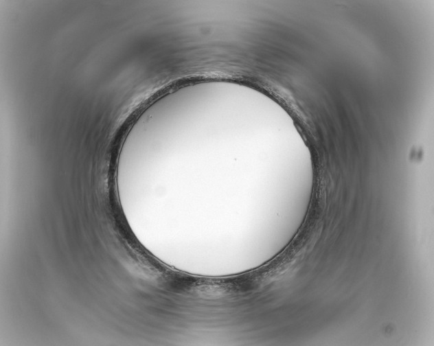 X0000093570299200711051103