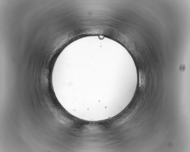 X0000093570300200711051103