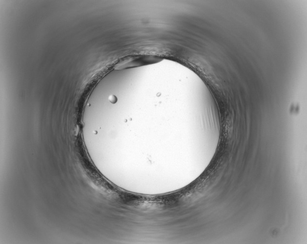 X0000093570303200711051103