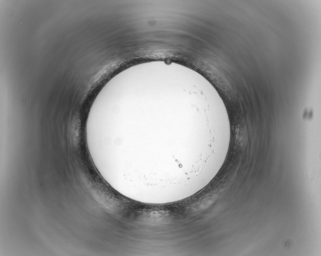 X0000093570304200711051103