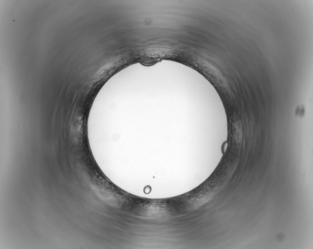 X0000093570308200711051103