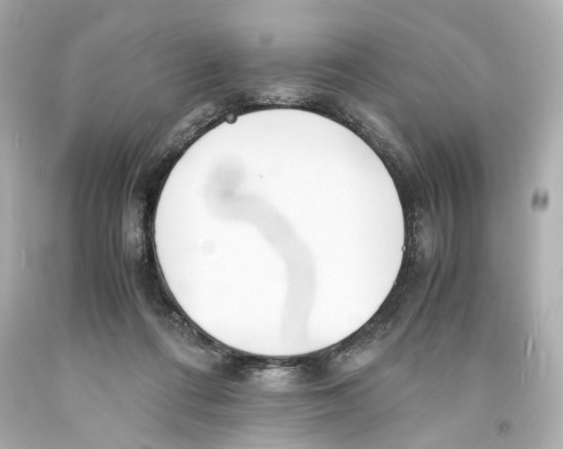 X0000093570312200711051103