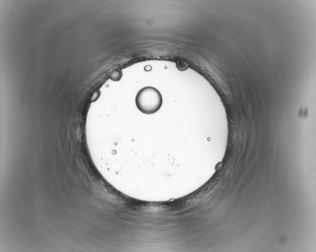 X0000093570313200711051103