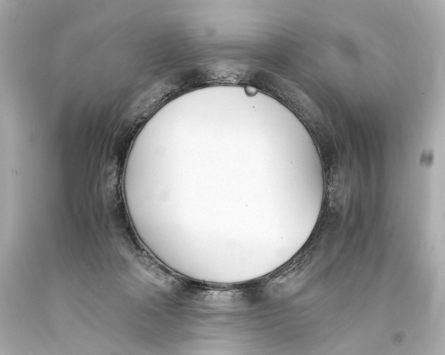 X0000093570314200711051103