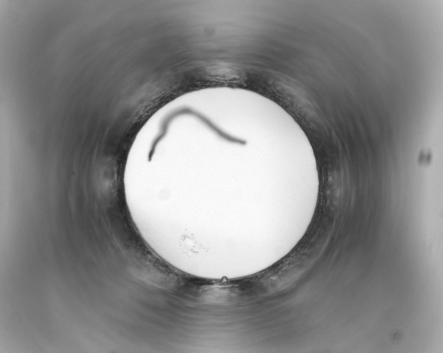 X0000093570320200711051103