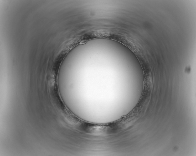 X0000093570323200711051103