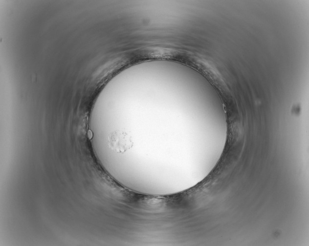 X0000093570325200711051103