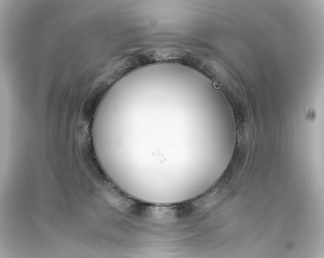 X0000093570327200711051103