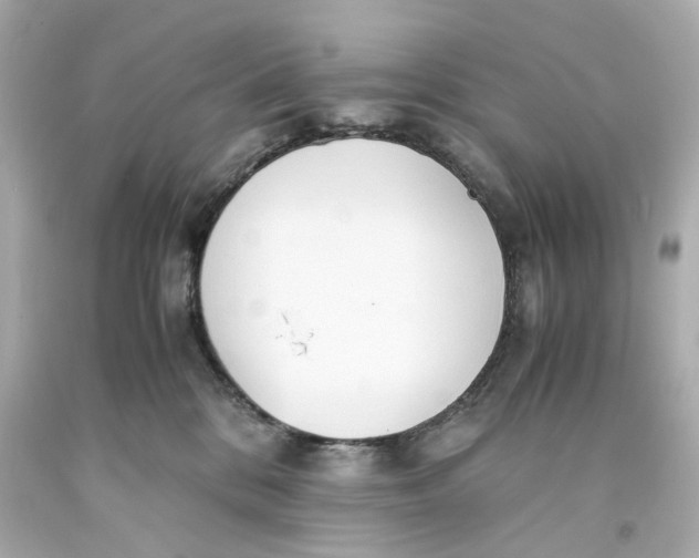 X0000093570328200711051103