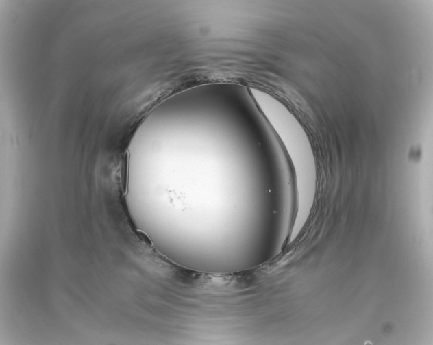 X0000093570329200711051103