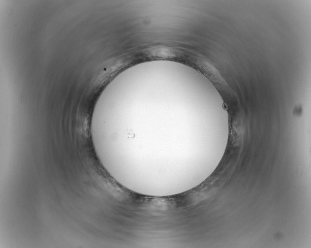 X0000093570330200711051103