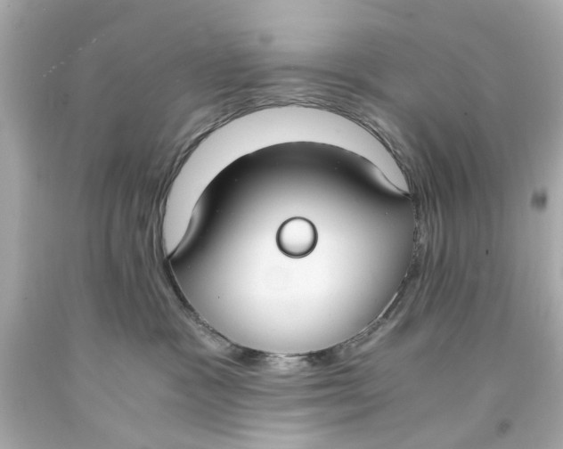 X0000093570333200711051102