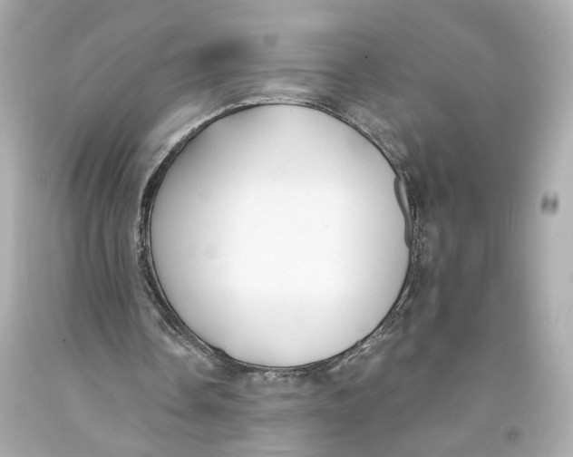 X0000093570338200711051102