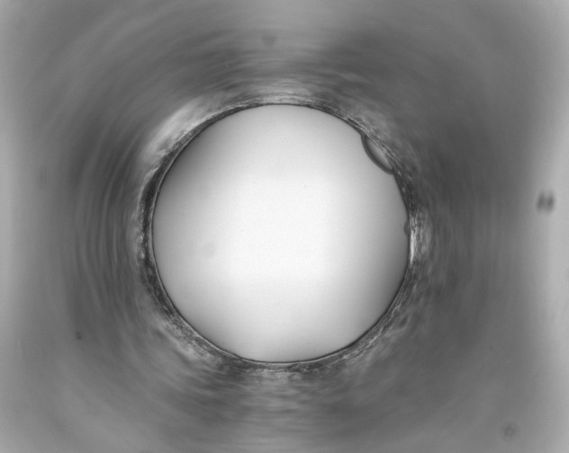 X0000093570339200711051102