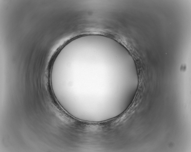 X0000093570342200711051102