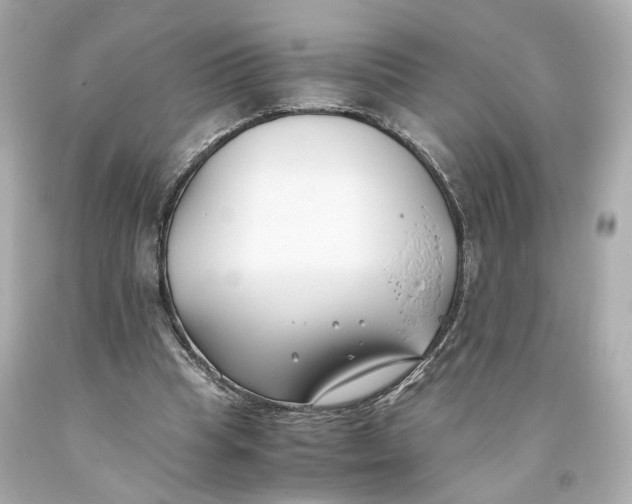 X0000093570345200711051102