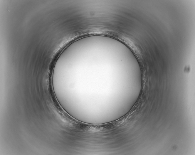 X0000093570346200711051102