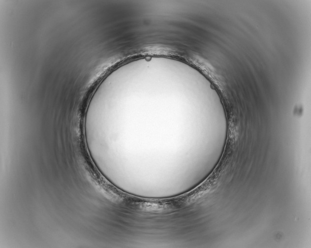 X0000093570347200711051102