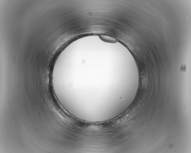 X0000093570350200711051102