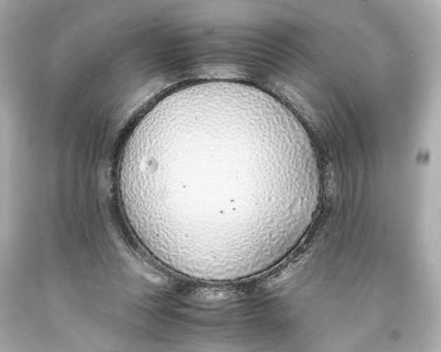 X0000093570351200711051102