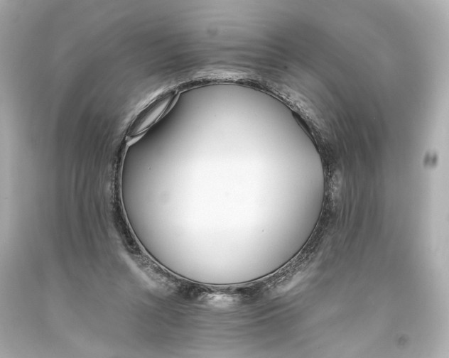 X0000093570352200711051102