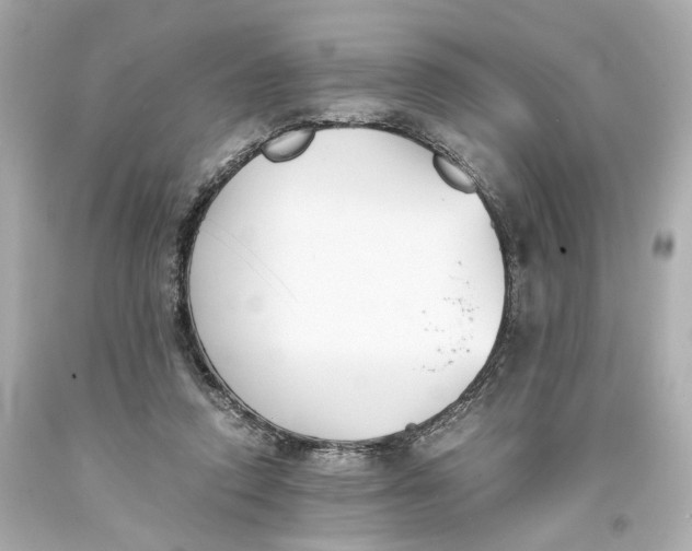 X0000093570354200711051102