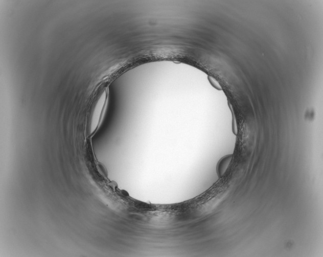 X0000093570356200711051102