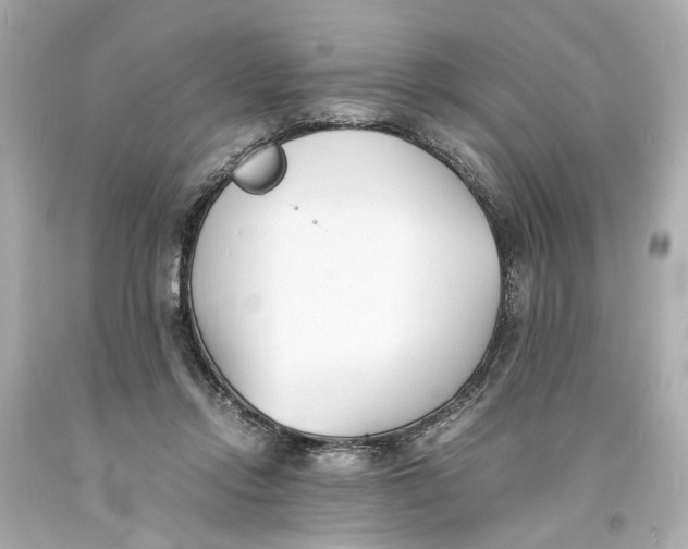 X0000093570358200711051102