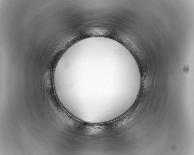 X0000093570359200711051102