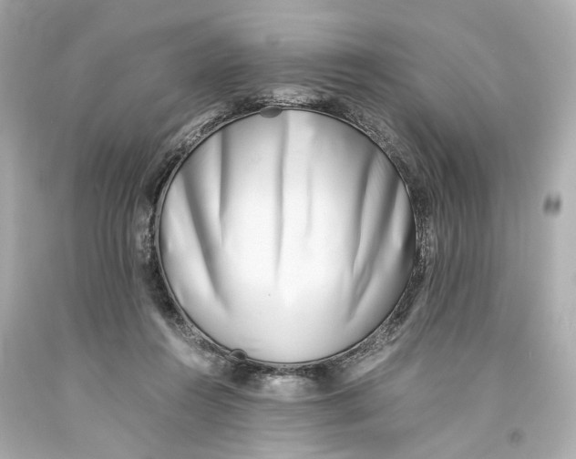 X0000093570360200711051102