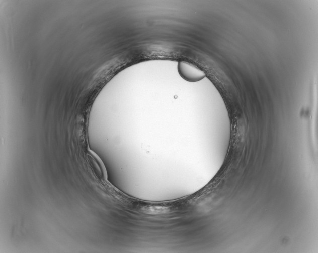 X0000093570361200711051102