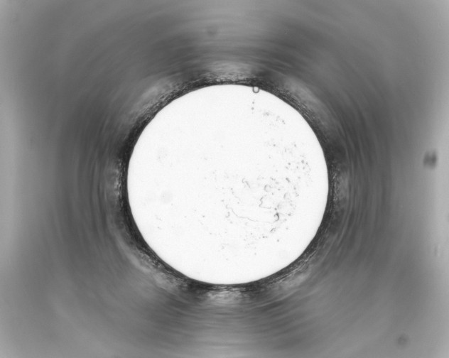 X0000093570362200711051102