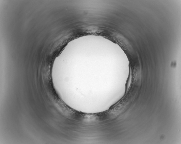 X0000093570376200711051102