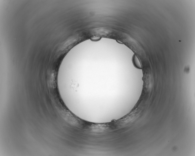 X0000093570378200711051102