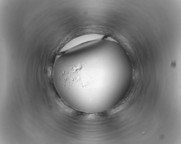 X0000093570382200711051102