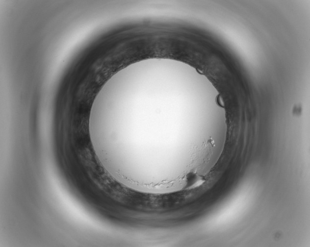 X0000093570383200711051102