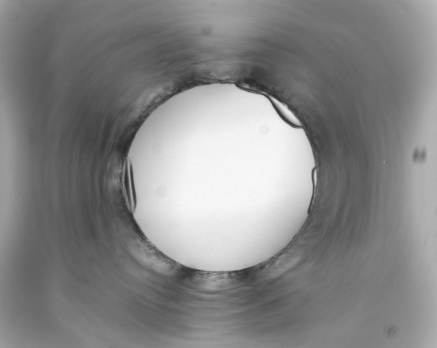 X0000093570384200711051102