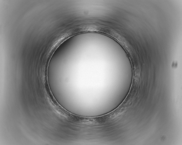 X0000093570386200711051101