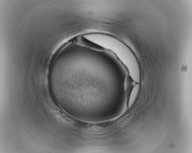 X0000093570387200711051101