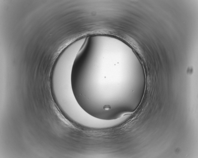 X0000093570389200711051101