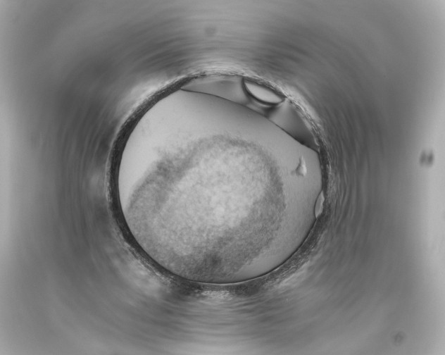 X0000093570391200711051101