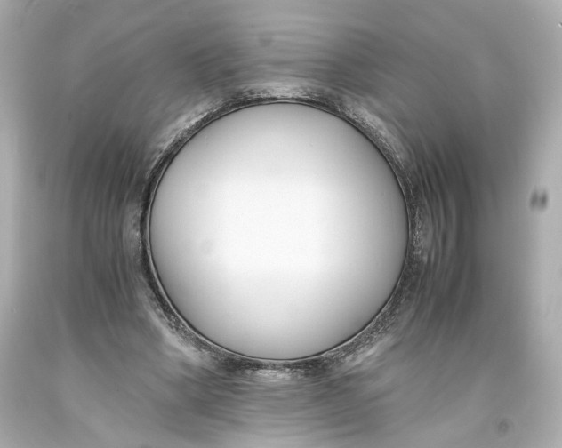 X0000093570394200711051101