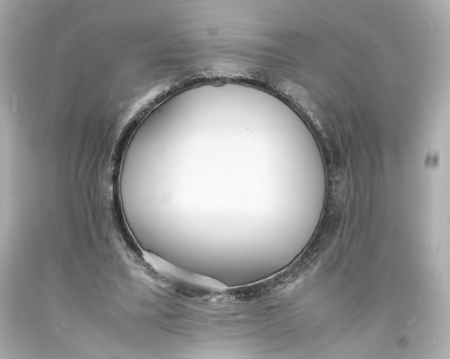 X0000093570395200711051101