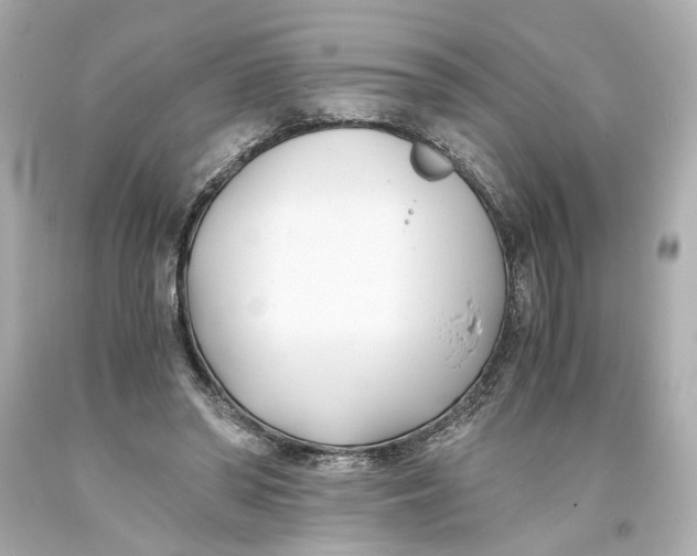 X0000093570398200711051101