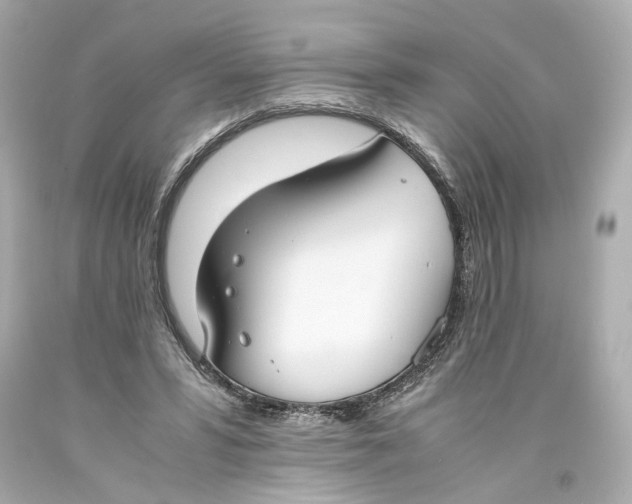 X0000093570399200711051101