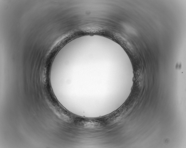 X0000093570400200711051101