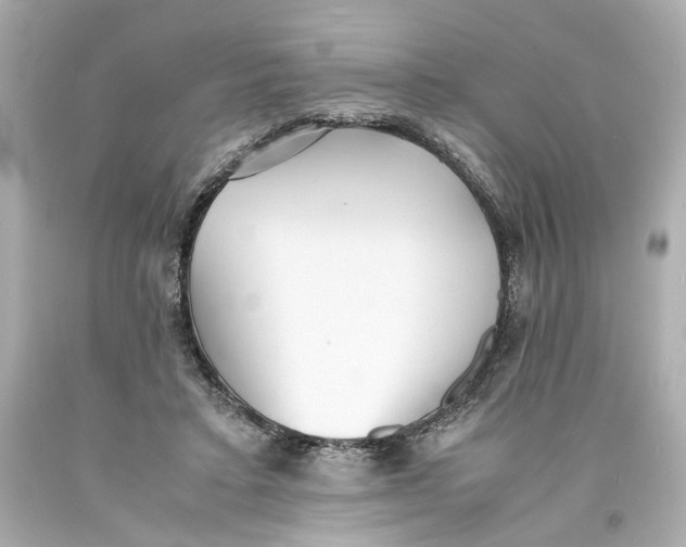 X0000093570403200711051101