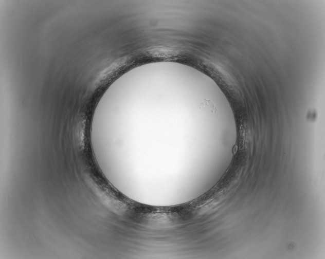 X0000093570404200711051101